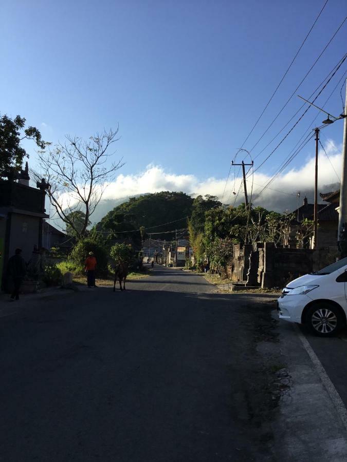 The Villa'S Kubu Sandan Kintamani Buitenkant foto